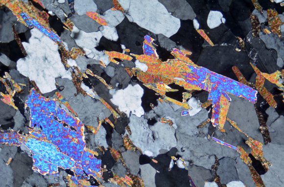 Gneiss à 2 micas (Bas Limousin) LPA x25